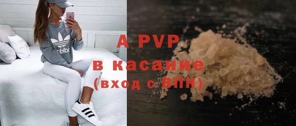 apvp Пересвет